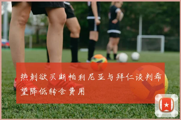 热刺欲买断帕利尼亚与拜仁谈判希望降低转会费用